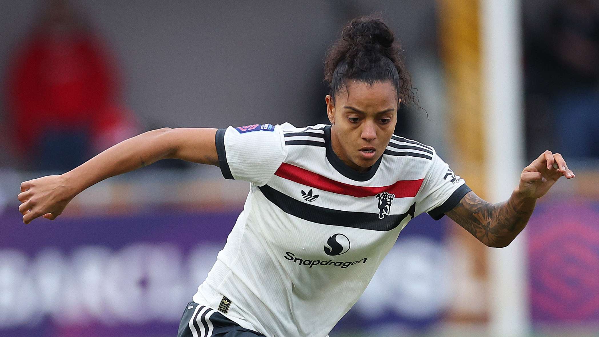 每一棵苍劲 每一棵苍劲