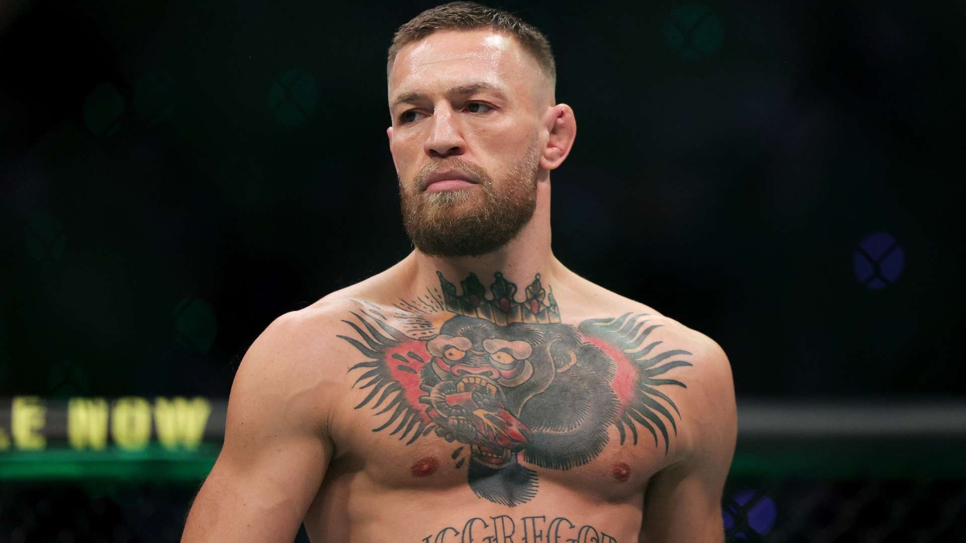 得更具权威 得更具权威